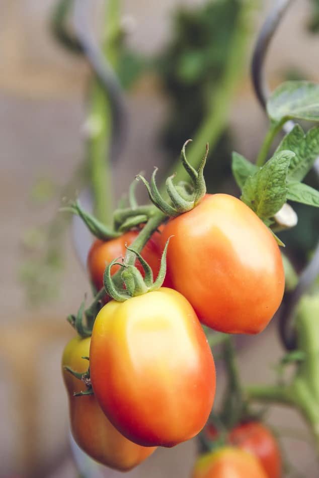 farming04 free img